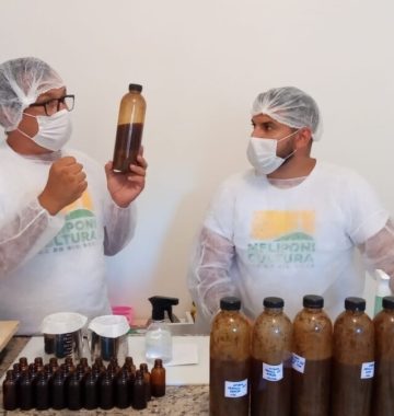 imagem propolis-blog