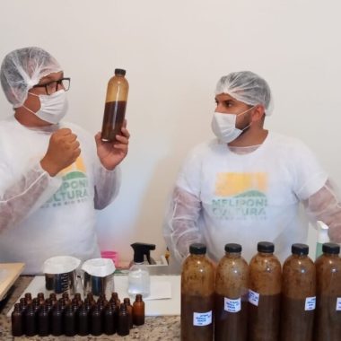 imagem propolis-blog